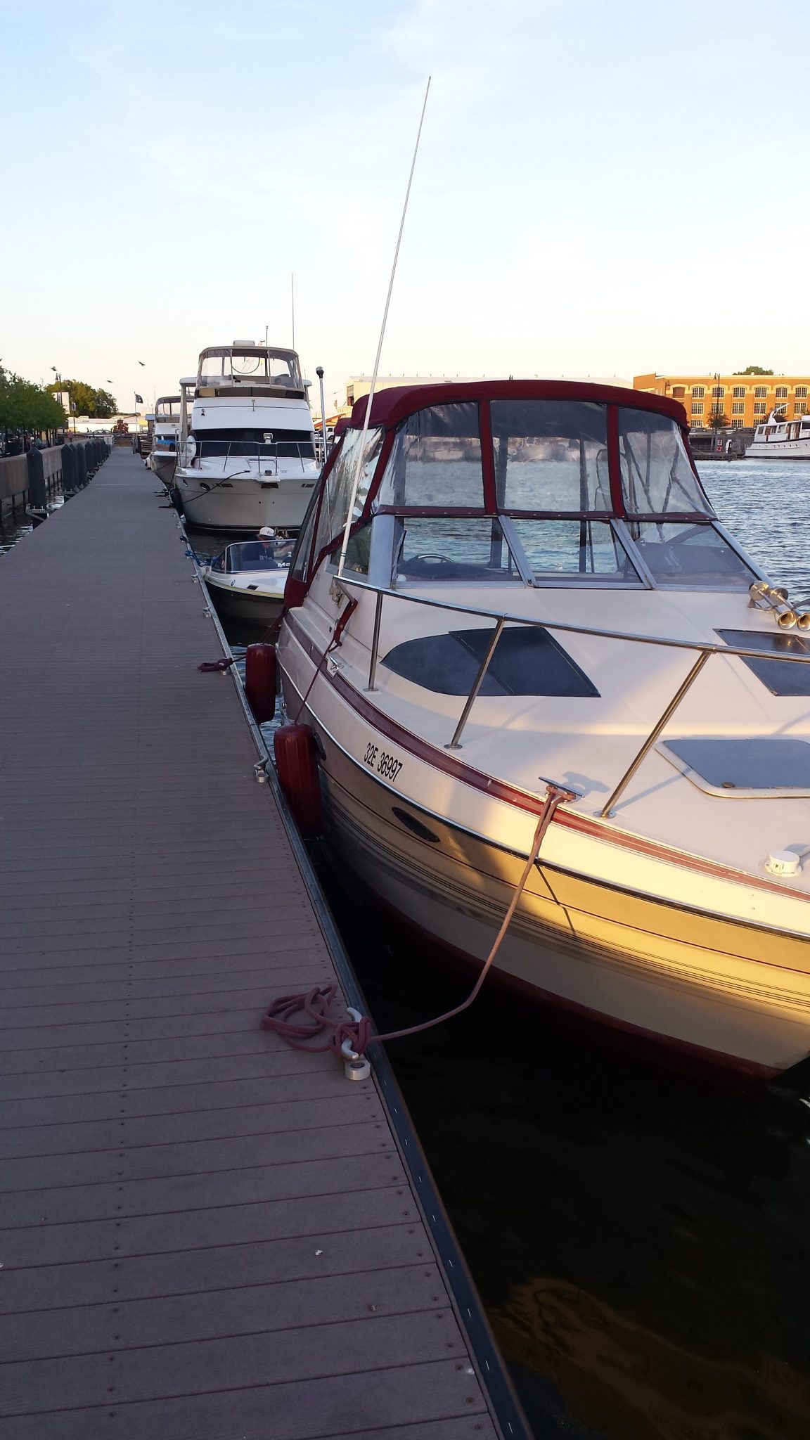 Courtesy Dock